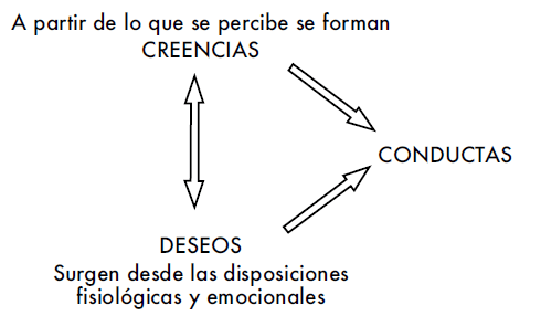 fig.7.2 LA TEORÍA DE LA MENTE COMO SISTEMA CONCEPTUAL