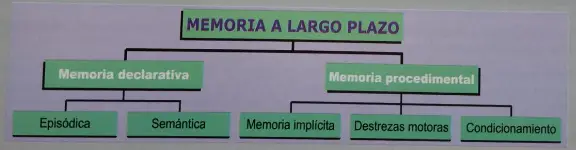 mlp LAS MEMORIAS DE LARGA DURACIÓN
